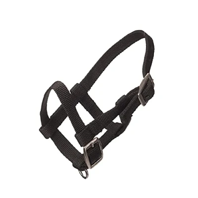 Image of HB Nylon Mini Foal Halter