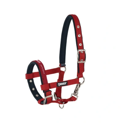 Image of Eskadron halter foal