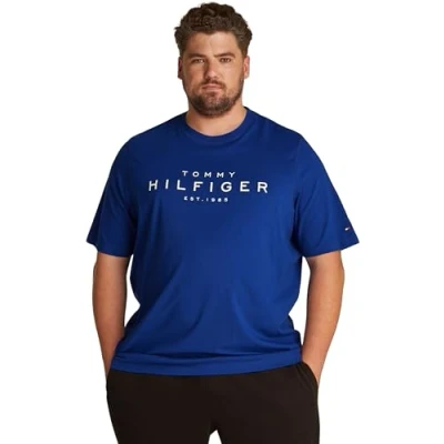 Image of Tommy Hilfiger BIG TEE Print Tshirt, Men&#039;s, Size: 3XL, Wedge blue