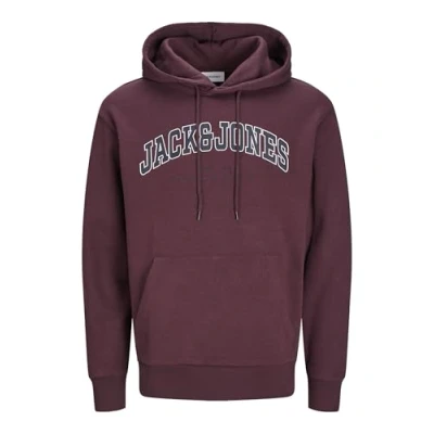 Image of Jack &amp; Jones Jjecaleb Varsity HOOD Hoodie, Men&#039;s, Size: Small, Vineyard wine