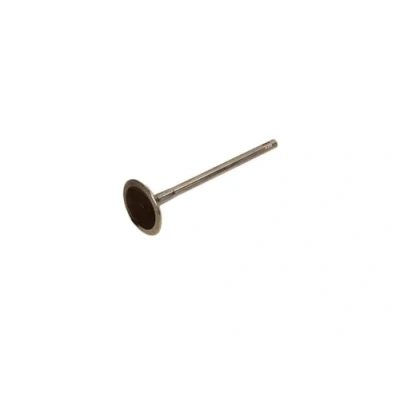 Image of Inlet Valve FRECCIA R6206/S