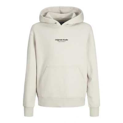 Image of Jack &amp; Jones Junior Jorvesterbro NOOS Hoodie for kids, Size: 12y, Moonbeam