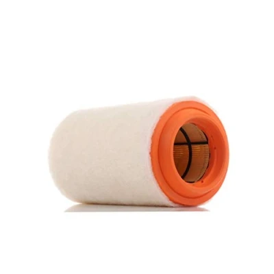Image of Air Filter PURFLUX A1494