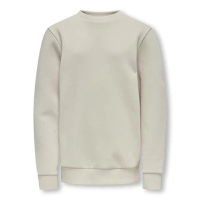 Image of Only &amp; sons junior Boy&#039;s Osjceres Crew Neck SWT Noos, Silver Lining, 122 128