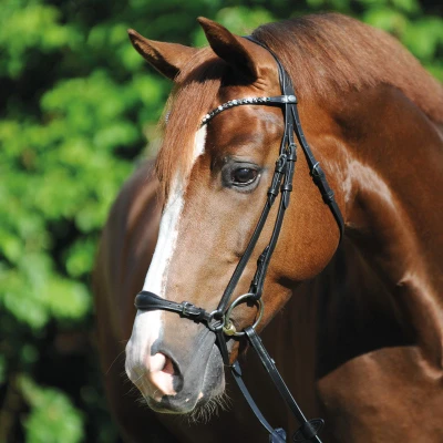 Image of Kavalkade bridle Fiala