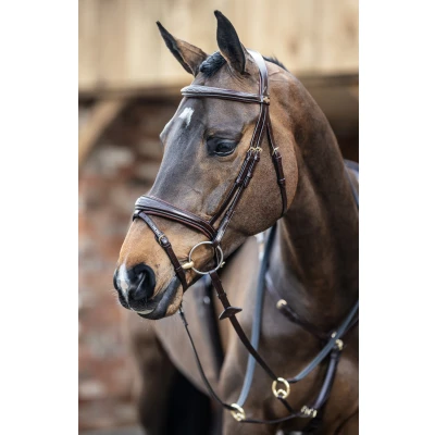 Image of LeMieux Competition Flash bridle
