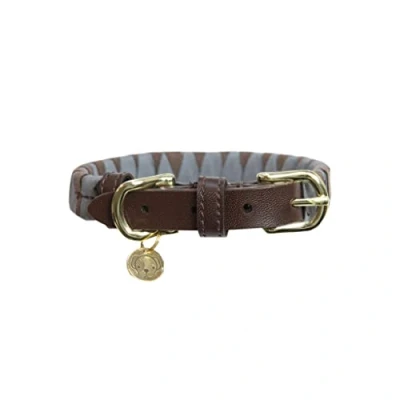 Image of Kentucky Dog Collar Triangle