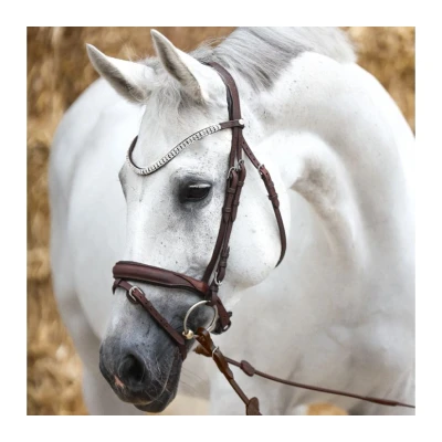 Image of Kavalkade Bridle Everness