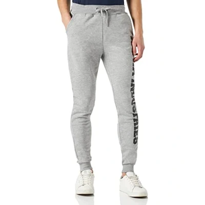 Image of Alpha Industries BIG Letters Jogger Tracksuit bottoms, Men&#039;s, Size: XXL, Grey heather