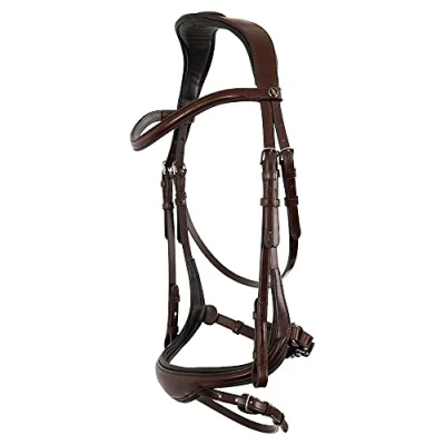 Image of BR Bridle Longridge