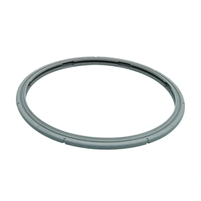 Image of Fissler Pressure cooker gasket 26cm 38 687 00 205 G1079