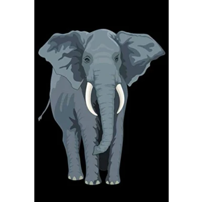 Image of Taschenkalender Elefant 2020 2021: Liniert Wochenplaner Jahresplaner Studienplaner für die Zwei Jahre &amp; 2021 Elefanten Notizbuch Kalender Planer Liniertes Buch