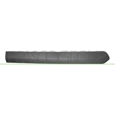 Image of Trim/Protection Strip, door PRASCO FT9101453
