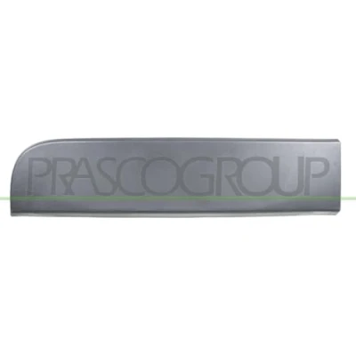 Image of Trim/Protection Strip, door PRASCO RN9541457