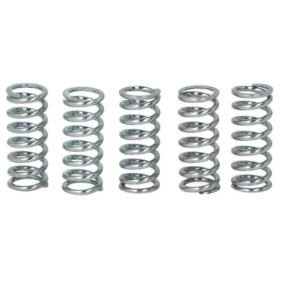 Image of Clutch Spring Set TRW MEF142 5