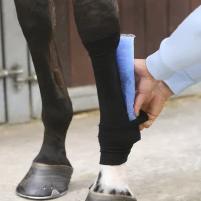 Image of Kentucky Horsewear Tendon Grip Sock Black Horse Gel Socks Riding Equestrian