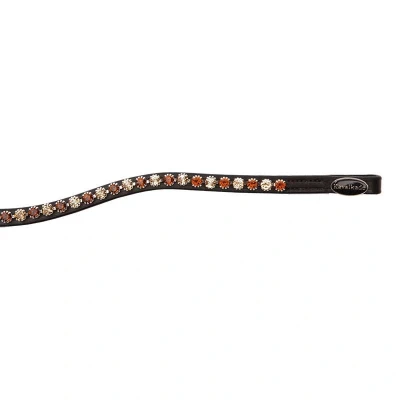 Image of Kavalkade Browband Splendid