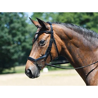 Image of Busse bridle Feeling
