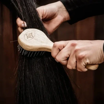 Image of Grooming Deluxe Mane Brush