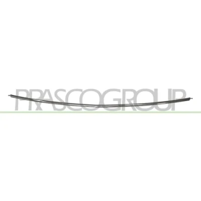 Image of Trim/Protective Strip, bumper BLIC 5703 05 5053976P