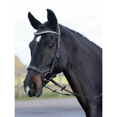 Image of Busse Bridle Emotion
