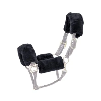 Image of Kentucky Halter Furs