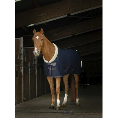 Image of EQUITHÈME Teddy Mesh Rug