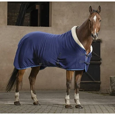 Image of Riding World Comfort Rug