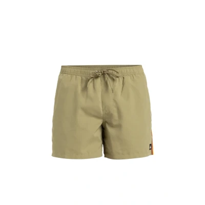 Image of Quiksilver Everyday Beach Swimming shorts, Men&#039;s, Size: Medium, Tmz0