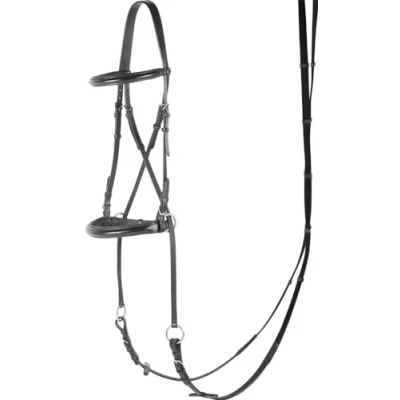 Image of Harry&#039;s Horse Bitless bridle
