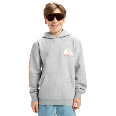Image of Quiksilver OMNI LOGO Hoodie Youth Unisex for kids, Size: 12y, Light grey heather