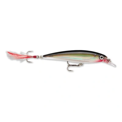 Image of Rapala X Rap 10cm &#039;Silver&#039; Hard lure