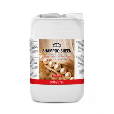 Image of Veredus Easy White Horse Grooming Riding Equestrian