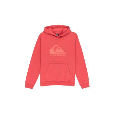 Image of Quiksilver Boy&#039;s Comp Logo Hoodie Kids Pullover Sweater (pack of 1)