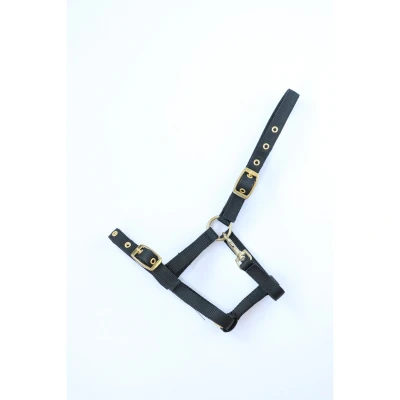Image of HB Nylon Foal Halter
