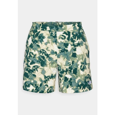 Image of The North Face Class Pathfinder PULL ON Outdoor shorts Duck green, Men&#039;s, Size: XLxRegular(32), green