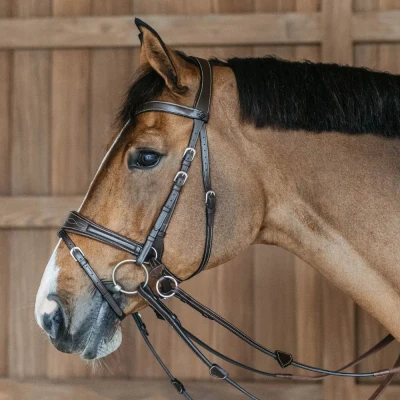 Image of Dy&#039;on Working Collection Motion Bridle Brown / Oversized Bridles Horse &amp; Equestrian