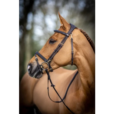 Image of LeMieux Work bridle