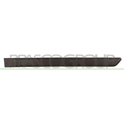 Image of Trim/Protection Strip, door PRASCO FT1221454