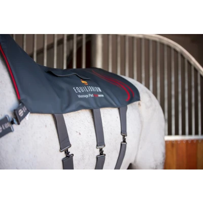 Image of Equilibrium Heatsense Massage Pad