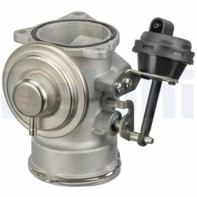 Image of EGR Valve DELPHI EG10409 12B1