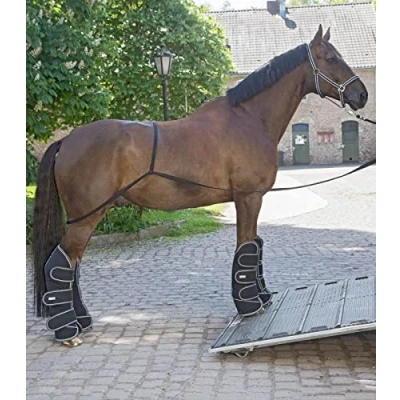 Image of Waldhausen Transport Aid