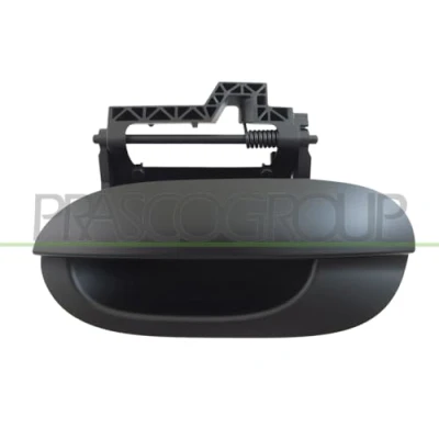 Image of Exterior Door Handle PRASCO BM0448104