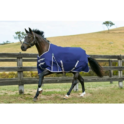 Image of Weatherbeeta ComFiTec Essential Standard Lite 0g Navy/Silver/Red