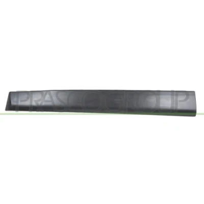 Image of Trim/Protection Strip, door PRASCO DA7301403