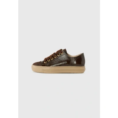 Image of Paul Green Trainers, Women&#039;s, Size: 3.5, Dark brown shoes