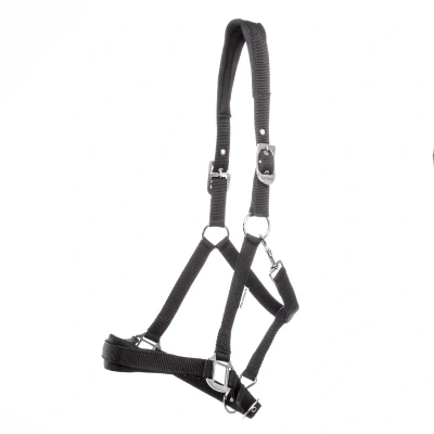Image of Kavalkade Halter Classic Simple