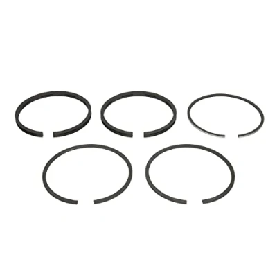 Image of Piston Ring Kit KOLBENSCHMIDT 800016211000