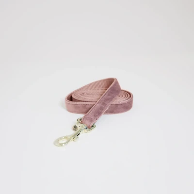 Image of Kentukcy Dog Lead Velvet