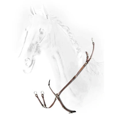 Image of Equiline Borsttuig met Elastiek